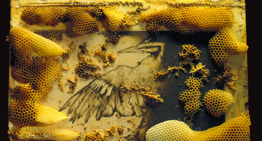 Artist’s Honey Bee Project Comes With A Dire Environmental ...
