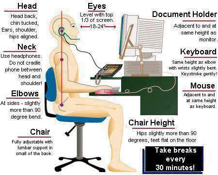 posture office chair
